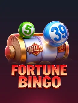 Fortune Bingo cover