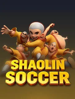 Shaolin Soccer cover