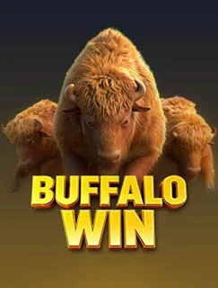 Buffalo Win cover